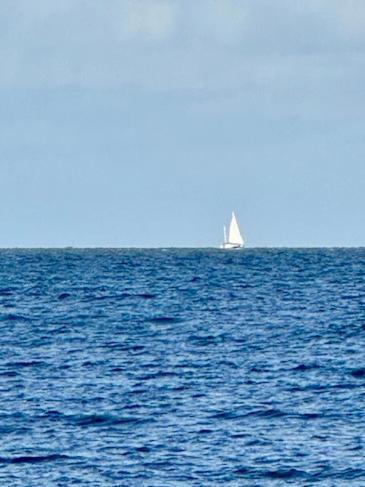 Sandon Point Coastal Cottage ブジ エクステリア 写真